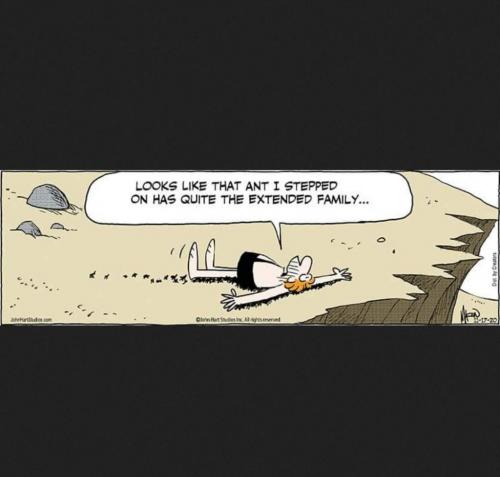 13:18:05 GMT-0500 (EST)