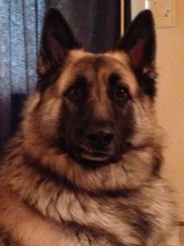 8A45FE7F-C850-4287-9767-35914C532D02