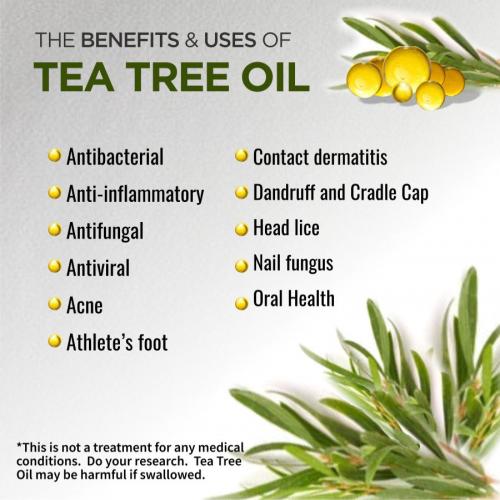 Benefits-Tea-Tree-1a