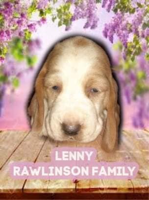 93009638-1601734209981154-8885010785244282880-n