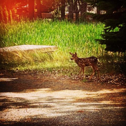 BB03AE0B-6009-4530-92A8-CE659C3C8ABC