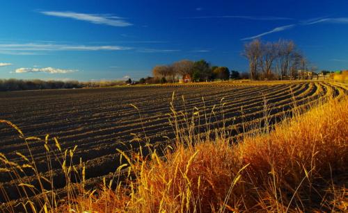 Fresh plowed field R