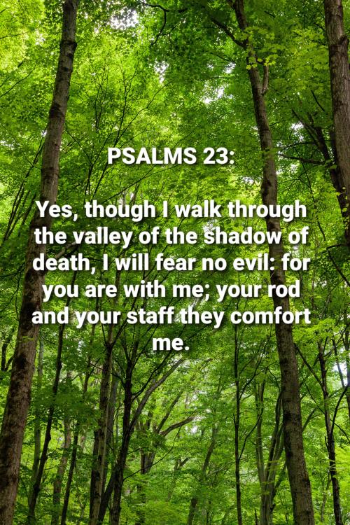 12:14:46 GMT-0500 (EST)