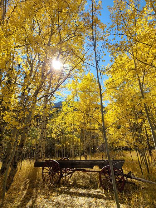 12:02:04 GMT-0700 (MST)