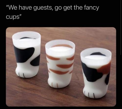 15:38:16 GMT-0600 (CST)