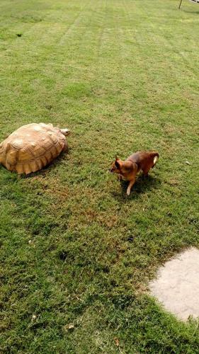 16:14:31 GMT-0600 (CST)