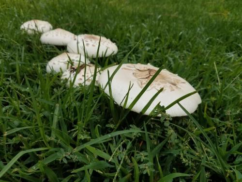 15:38:28 GMT-0800 (PST)