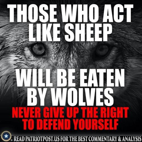 07:06:28 GMT-0500 (EST).image