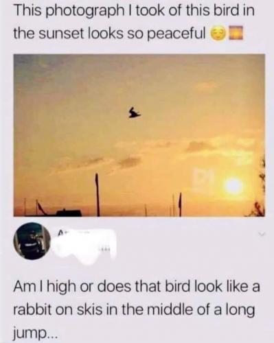 17:47:43 GMT-0500 (EST)