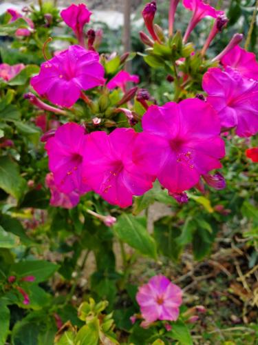 15:18:05 GMT-0800 (PST)