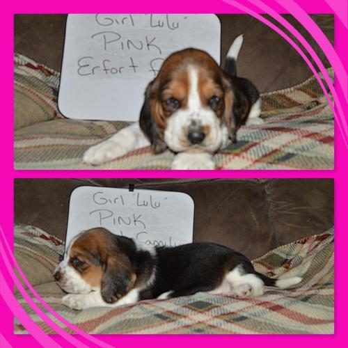 100782260_858808337958746_3618442185180971008_o