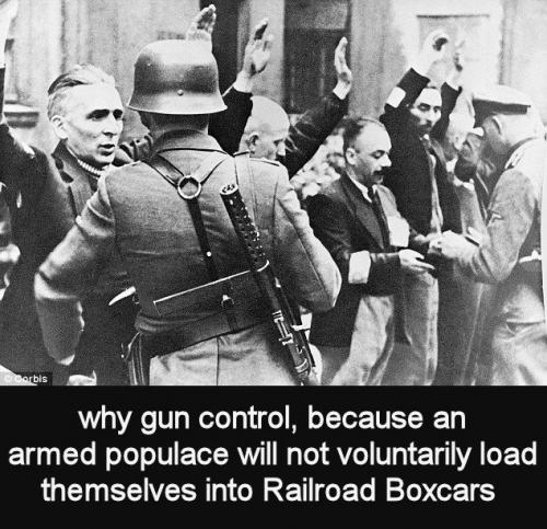 gun control73