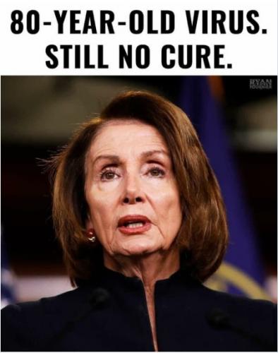 Political funny meme 80 year old virus pelosi 2020