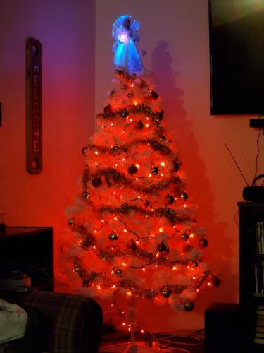 12:45:55 GMT-0500 (EST)