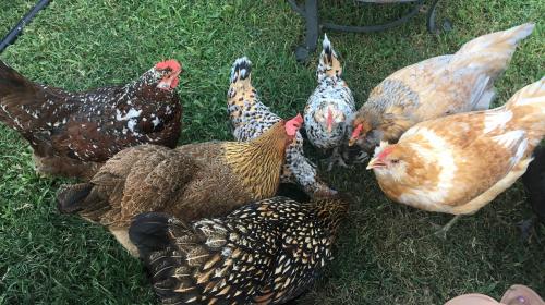 00:25:48 GMT-0600 (CST).image