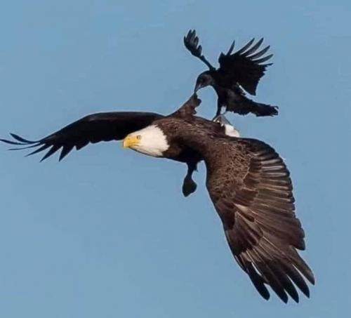 11:03:13 GMT-0800 (PST).image