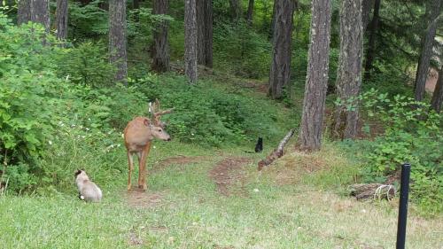 Pics and Vids 112019 216