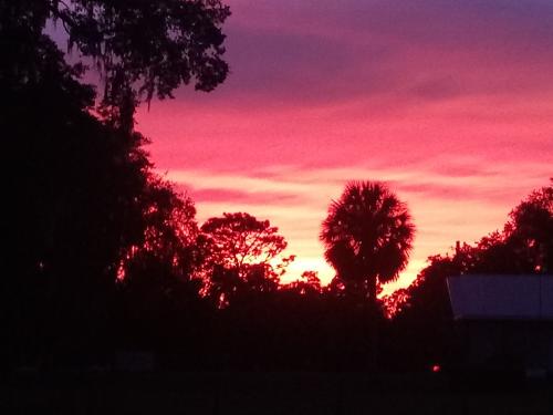 13:07:18 GMT-0500 (EST)