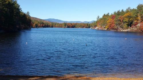 FB_IMG_1603723588551