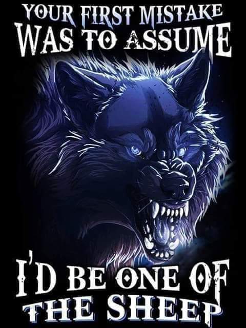 inbound4347696896007092904