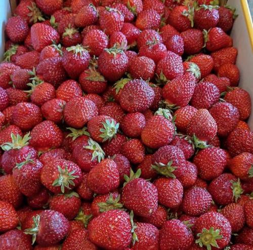 20:05:56 GMT+0100 (WAT)