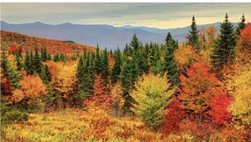 15:18:20 GMT-0500 (EST).image