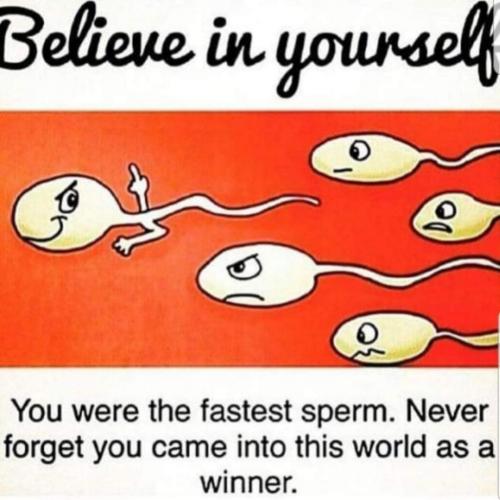 Winning Sperm