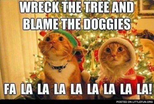 Blame the doggies