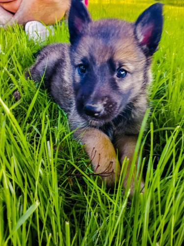 22:58:33 GMT-0600 (CST)