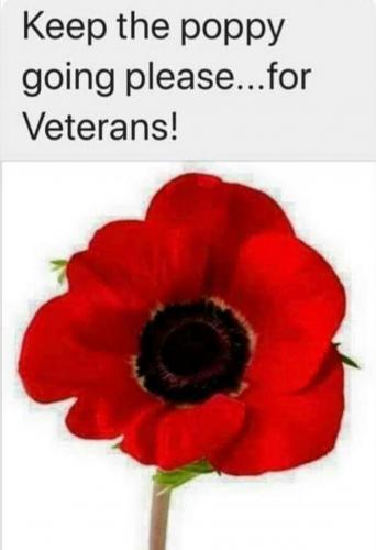 Screenshot_2020-11-09-22-20-48-1