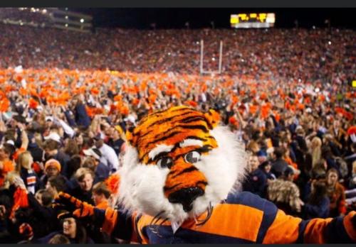 16:01:58 GMT-0600 (CST).image