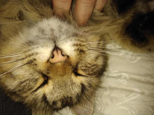 01:45:09 GMT-0600 (CST)