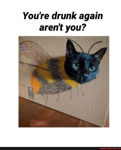 18:54:14 GMT-0600 (CST).image