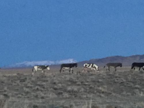 18:52:35 GMT-0800 (PST).image