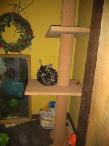 09:51:21 GMT-0600 (CST)