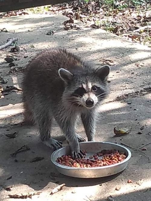 20:25:16 GMT-0600 (CST)