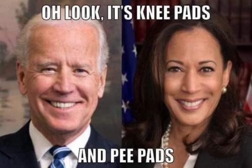 1B22C832-FDA1-4B1E-AF32-08DA737F1B66-10540-000006E3F63563C3