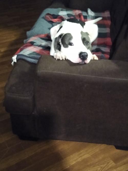 11:42:43 GMT-0500 (EST)