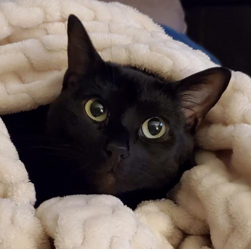 18:26:40 GMT-0600 (CST)