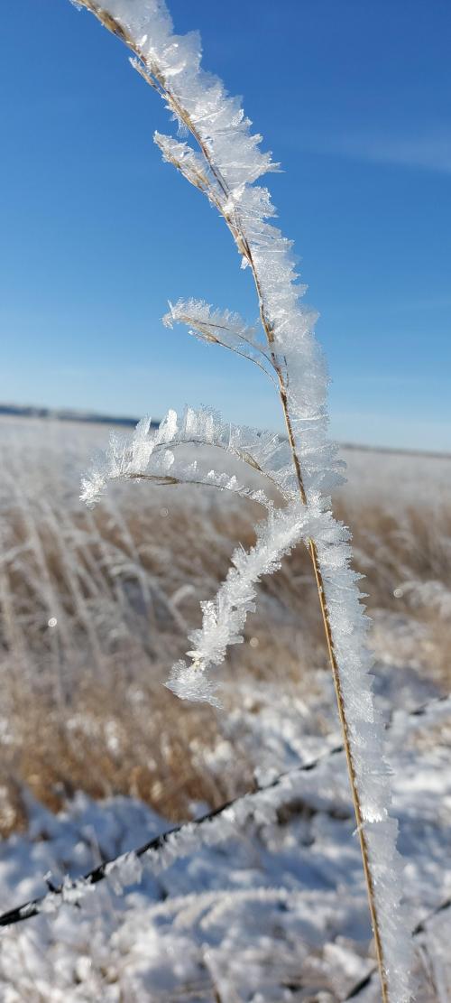 19:02:34 GMT-0700 (MST)