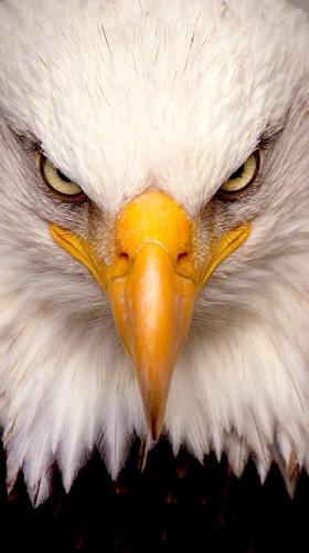 15:18:54 GMT-0800 (PST).image