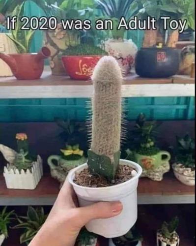 02:29:04 GMT-0600 (CST)