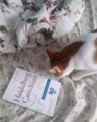 2018-09-04 15.16.38 1861198718582442920_5403409862