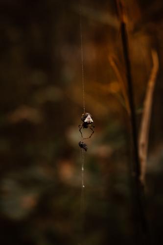 10:09:04 GMT-0600 (CST).image