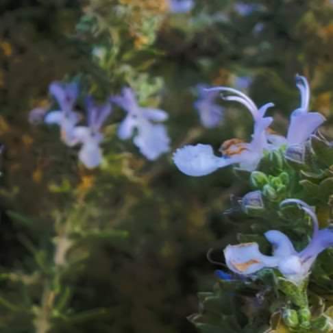 15:03:28 GMT-0800 (PST)