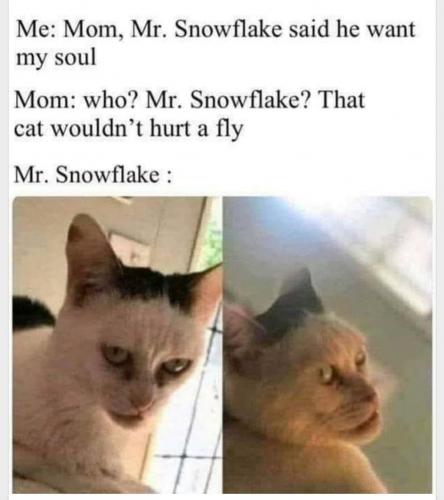 23:32:12 GMT-0500 (EST)