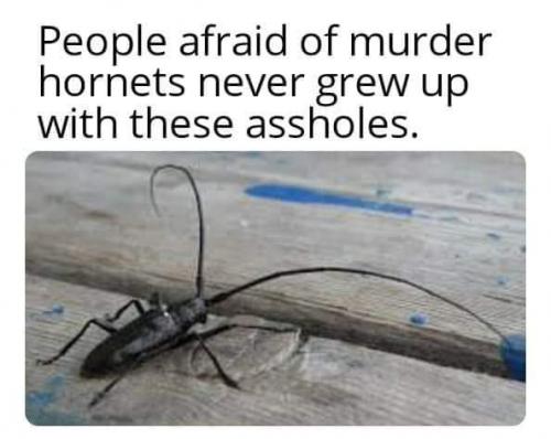 20:11:13 GMT-0600 (CST)