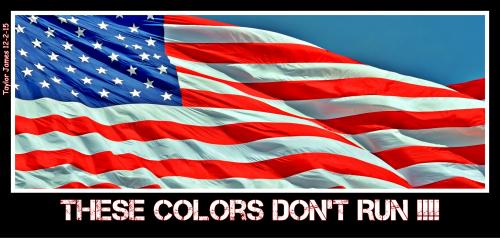 AmericanFlag2CropBlank31713