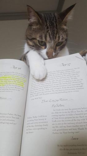 21765656_10155605886851550_6872665917249952764_o