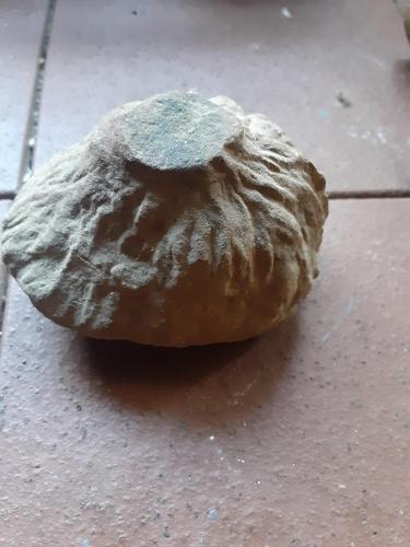 13:17:39 GMT-0600 (CST)